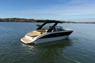 Thumbnail von Sea Ray SDX 250 Surf