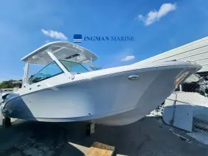 Stingray 259 DC