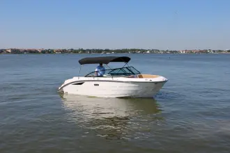 Thumbnail von Sea Ray SDX 230