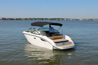 Thumbnail von Sea Ray SDX 230