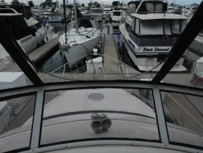 Thumbnail von Carver 	41 Cockpit Motoryacht