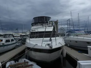 Thumbnail von Carver 	41 Cockpit Motoryacht