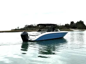 Thumbnail von Sea Ray SDX 270 Outboard