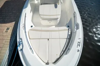 Thumbnail von Boston Whaler 220 Dauntless