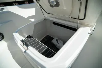 Thumbnail von Boston Whaler 220 Dauntless