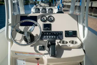 Thumbnail von Boston Whaler 220 Dauntless