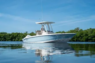 Thumbnail von Boston Whaler 220 Dauntless