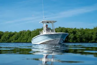 Thumbnail von Boston Whaler 220 Dauntless