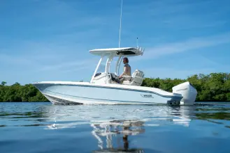 Thumbnail von Boston Whaler 220 Dauntless
