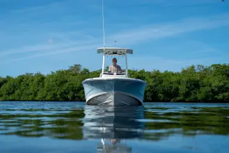 Thumbnail von Boston Whaler 220 Dauntless