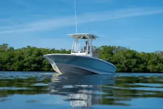 Thumbnail von Boston Whaler 220 Dauntless