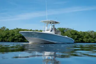 Thumbnail von Boston Whaler 220 Dauntless