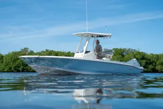 Thumbnail von Boston Whaler 220 Dauntless