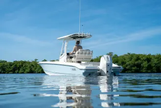 Thumbnail von Boston Whaler 220 Dauntless