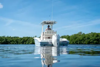 Thumbnail von Boston Whaler 220 Dauntless
