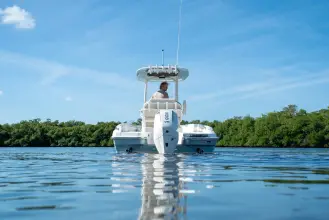 Thumbnail von Boston Whaler 220 Dauntless