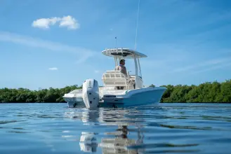 Thumbnail von Boston Whaler 220 Dauntless