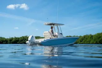 Thumbnail von Boston Whaler 220 Dauntless