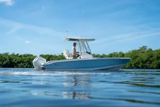 Thumbnail von Boston Whaler 220 Dauntless
