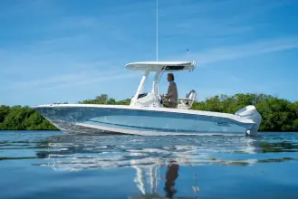 Thumbnail von Boston Whaler 220 Dauntless