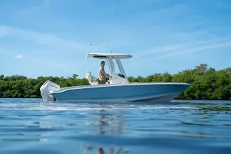Thumbnail von Boston Whaler 220 Dauntless