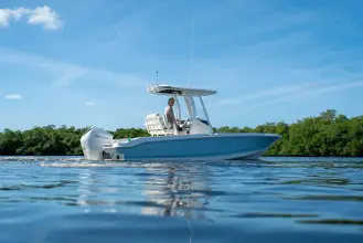 Thumbnail von Boston Whaler 220 Dauntless