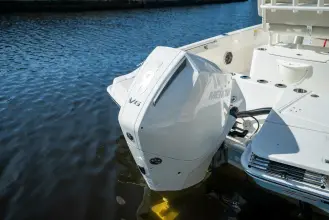 Thumbnail von Boston Whaler 220 Dauntless