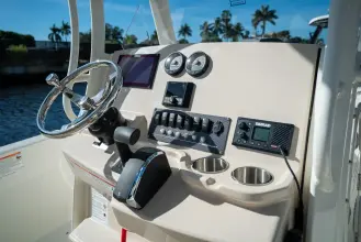 Thumbnail von Boston Whaler 220 Dauntless