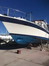 Thumbnail von Trader 58 Sunliner