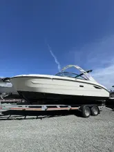 Sea Ray SDX 250