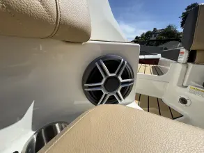 Thumbnail von Sea Ray SDX 250