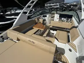 Thumbnail von Sea Ray SDX 250
