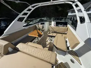 Thumbnail von Sea Ray SDX 250
