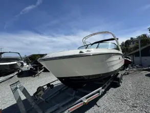 Thumbnail von Sea Ray SDX 250