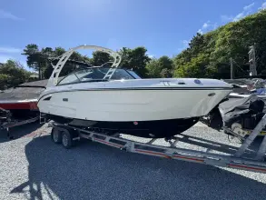Thumbnail von Sea Ray SDX 250