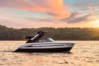 Thumbnail von Sea Ray SDX 230 Surf