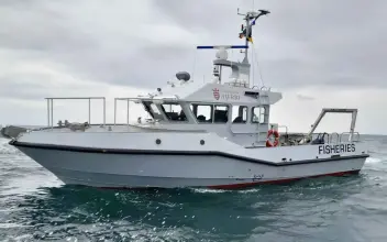 Thumbnail von Camarc Norman Le Brocq NLB