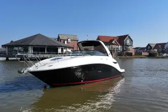 Thumbnail von Sea Ray 265 Sundancer