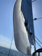 Thumbnail von X-Yachts X4.3 Xeta