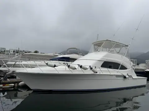 Bertram 510