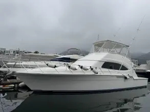 Bertram 510