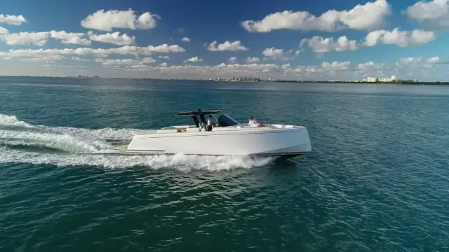 Pardo P50