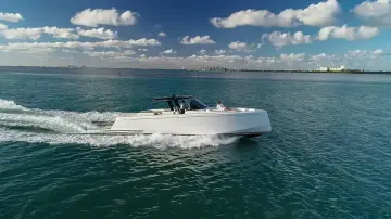 Pardo P50