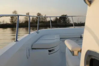 Thumbnail von Boston Whaler 270 Dauntless