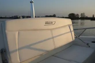 Thumbnail von Boston Whaler 270 Dauntless