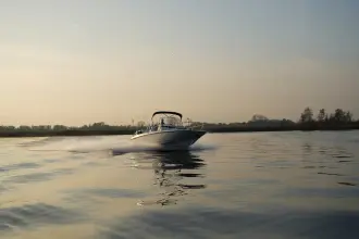 Thumbnail von Boston Whaler 270 Dauntless