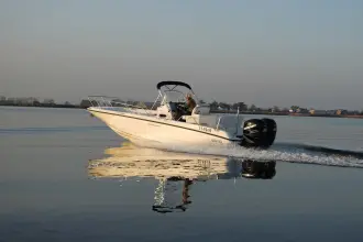 Thumbnail von Boston Whaler 270 Dauntless