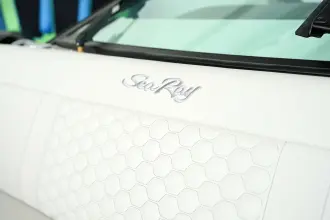 Thumbnail von Sea Ray SDX 250