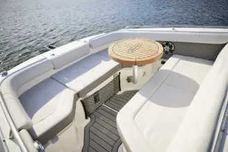 Thumbnail von Sea Ray SDX 250