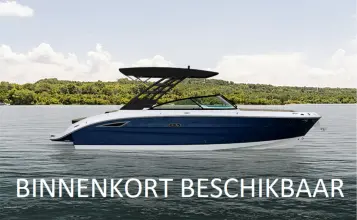 Sea Ray SDX 270 Surf